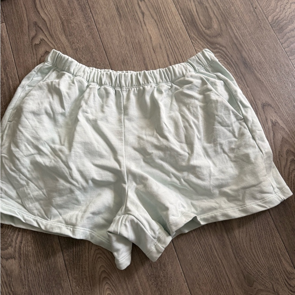Patagonia Light Mint Green Women's Shorts Skort